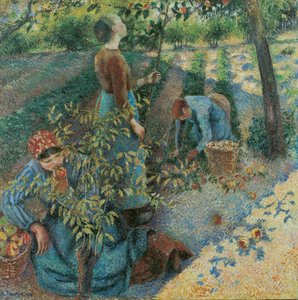 Cosecha de manzanas