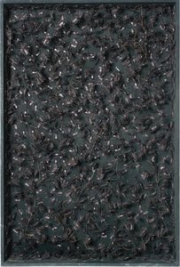 Cockroaches