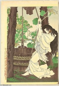 Story Of Tamiya Botaro — Tsukioka Yoshitoshi