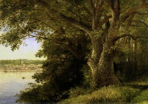 The Washington Oak, Denning's Point (Fishkill on the Hudson)