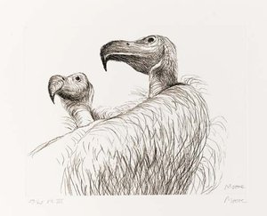Vultures — Henry Moore