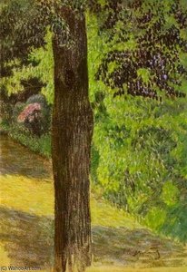 A Path In A Garden — Victor Borisov Mtov