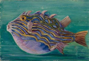 Peces Exóticos — Marianne North