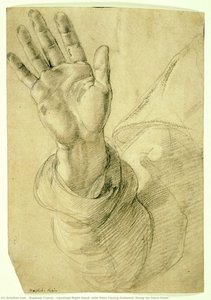 Upraised Right Hand, With Palm Facing Outward: Study For Saint Peter — Rafael Coxcie, Renaissance