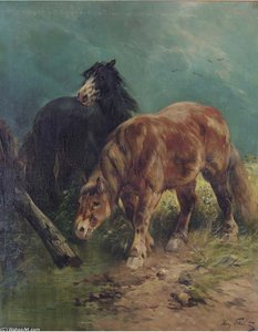 Horses In A Meadow