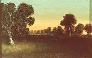 Meadow Sunset, (painting)