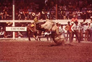Frontier Days Cowboy, From The Wyoming Documentary Survey Project — Penny Diane Wolin