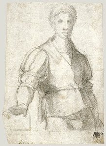 A Young Man (study) — Andrea Del Sarto