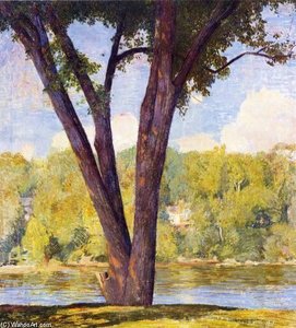 Elm Stems — Daniel Garber