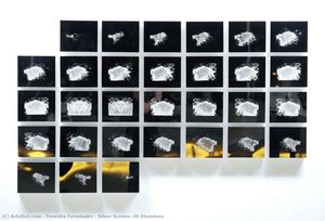 Silver Screen (30 Dissolves) — Teresita Fernández