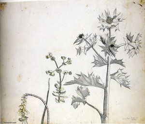 Paper (18) — Lucian Freud