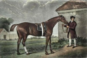 Eclipse — George Stubbs