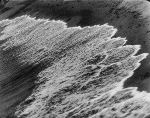 Surf And Seaweed — Ralph Steiner