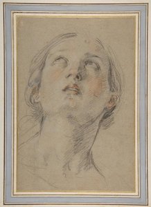 The Head Of A Woman Looking Up — Reni Guido (le Guide)