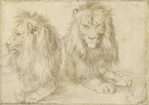 Two Seated Lions — Albrecht Dürer, German Renaissance