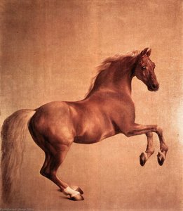 Whistlejacket — George Stubbs