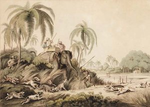 Hunting A Kuttauss, Or Civet Cat — Samuel Howitt