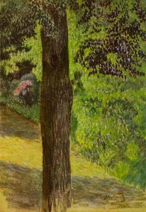 A Path in a Garden