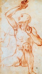 Seated Male Nule — Jacopo Carucci