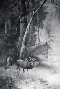 Wood Scene with Elk in Foreground, (painting)