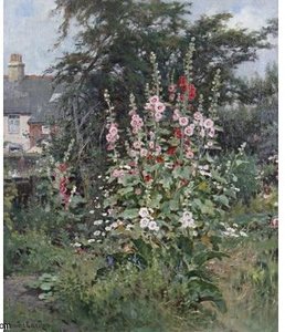 Hollyhocks — Claude Cardon