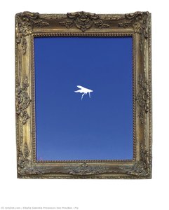 Fly