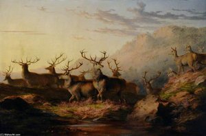 Stags On The Highlands — James William Giles