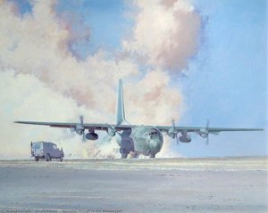 Hercules Aircraft In The Middle East — Gerald Palmer