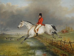A Master of the Royal Buckhounds clearing a fence on a grey hunter