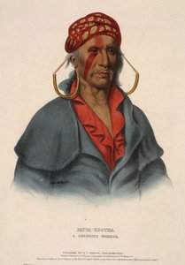 Payta-kootha, A Shawanoe Warrior — Charles Bird King