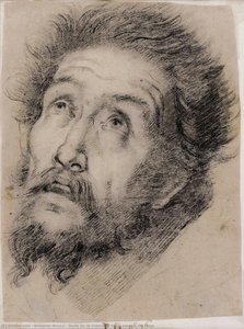 Study For St Francis Of Assisi Adoring The Cross — Bernardo Strozzi, Baroque