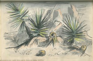 Untitled — Judd, Deforrest H. (deforrest Hale)