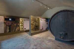 Museo Del Vino Dei Colli Di Parma: Sala Delle Botti — Gian Luca Rossi