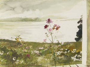 Cosmos — Andrew Newell Wyeth