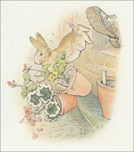 Peter Rabbit 20a - (11x12) — Beatrix Potter