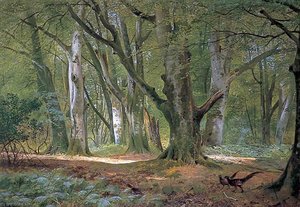 In the Shade of the Beeches, Buckhurst Park, Kent