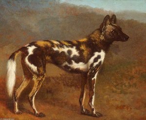 Cape Hunting Dog — Jacques Laurent Agasse