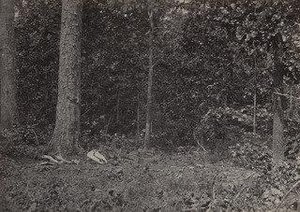 Escena de la muerte del general McPherson del álbum Vistas fotográficas de la campaña de Sherman