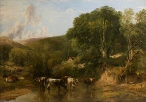 Wooded Glen
