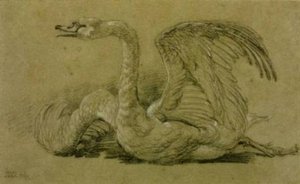 Dying Swan — James Ward