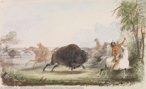 Indians Tantalizing a Wounded Buffalo