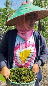 Pepper Farmer With Bundong — Cahyadi Putra