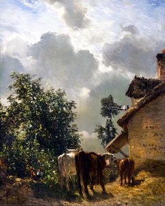 Cattle — Constant Troyon