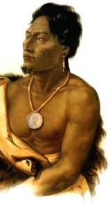 Chief of the Puncas