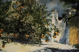 Orange Tree, Nassau — Winslow Homer