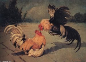 Gamecocks