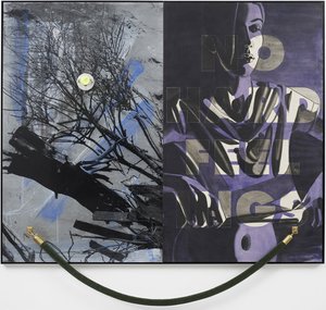 No Hard Feelings — David Salle