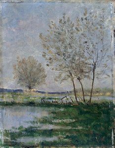 Flooded Meadows — Maxime Emile Louis Maufra