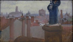Toulouse vue du toit