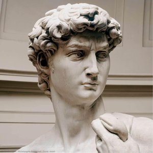 David (detail) — Michelangelo Buonarroti, High Renaissance